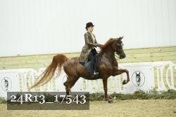 24R13_17543 thumbnail