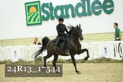 24R13_17544 thumbnail