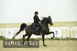 24R13_17545 thumbnail
