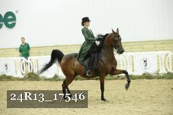 24R13_17546 thumbnail