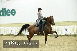24R13_17547 thumbnail