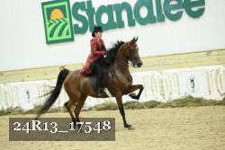 24R13_17548 thumbnail