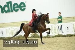24R13_17549 thumbnail