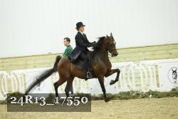 24R13_17550 thumbnail