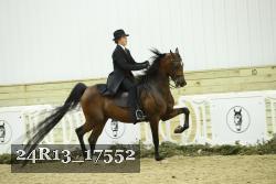 24R13_17552 thumbnail