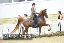 24R13_17553 thumbnail