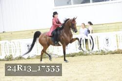 24R13_17555 thumbnail