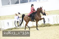 24R13_17556 thumbnail