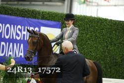 24R13_17572 thumbnail