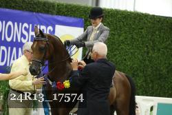 24R13_17574 thumbnail