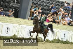 24R13_17580 thumbnail
