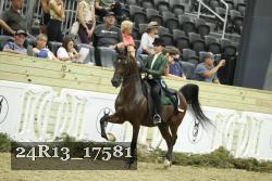 24R13_17581 thumbnail