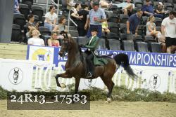 24R13_17583 thumbnail