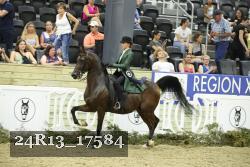 24R13_17584 thumbnail