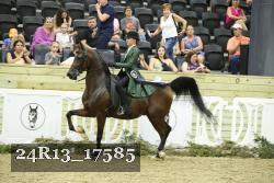 24R13_17585 thumbnail