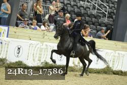 24R13_17586 thumbnail