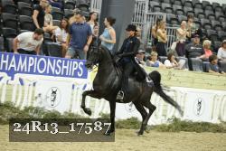 24R13_17587 thumbnail