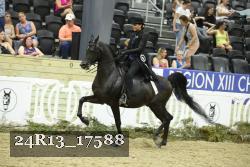24R13_17588 thumbnail