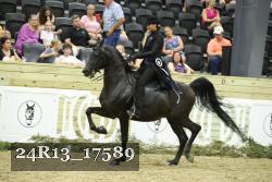 24R13_17589 thumbnail