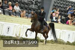 24R13_17590 thumbnail