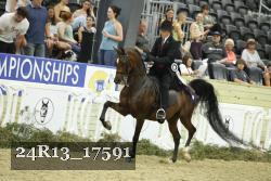 24R13_17591 thumbnail