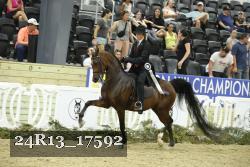 24R13_17592 thumbnail