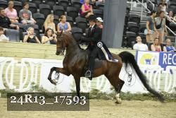 24R13_17593 thumbnail