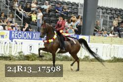 24R13_17598 thumbnail