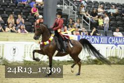 24R13_17599 thumbnail