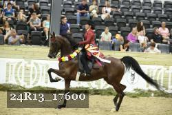 24R13_17600 thumbnail