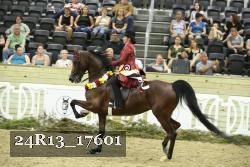24R13_17601 thumbnail