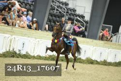 24R13_17607 thumbnail