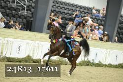24R13_17611 thumbnail