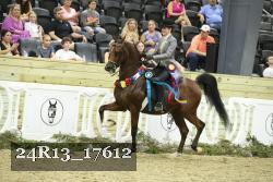24R13_17612 thumbnail