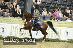 24R13_17614 thumbnail