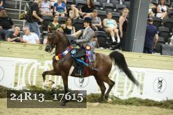 24R13_17615 thumbnail