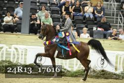 24R13_17616 thumbnail