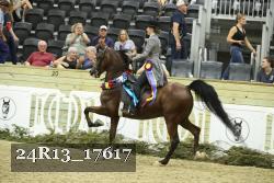 24R13_17617 thumbnail