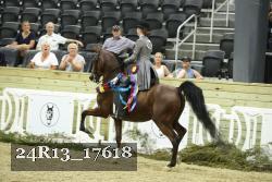 24R13_17618 thumbnail