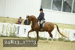 24R13_17773 thumbnail