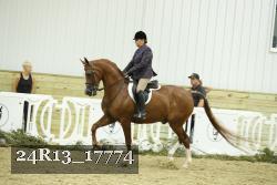 24R13_17774 thumbnail