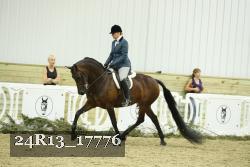 24R13_17776 thumbnail
