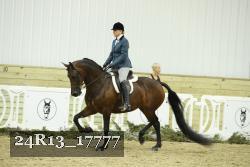 24R13_17777 thumbnail