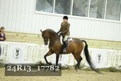 24R13_17782 thumbnail