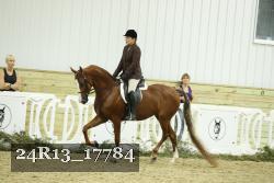 24R13_17784 thumbnail