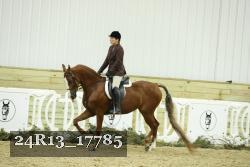 24R13_17785 thumbnail