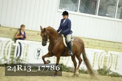 24R13_17786 thumbnail