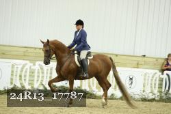 24R13_17787 thumbnail