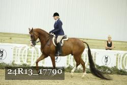 24R13_17790 thumbnail