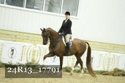 24R13_17791 thumbnail